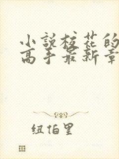 小说校花的贴身高手最新章节在线