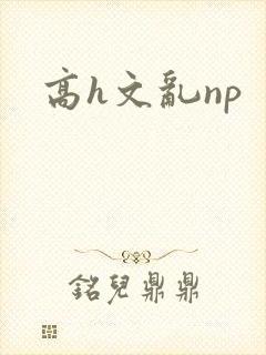 高h文乱np封面