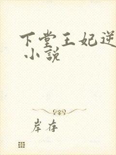 下堂王妃逆袭记 小说
