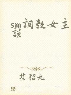sm调教女主小说封面