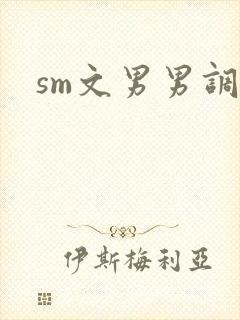 sm文男男调教