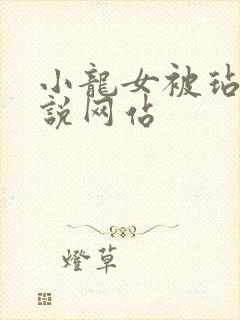 小龙女被玷污小说网站