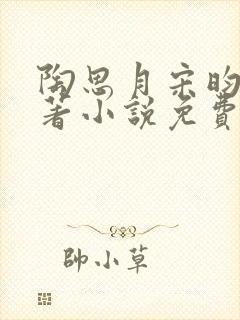 陶思月宋昀桥原著小说免费阅读全文