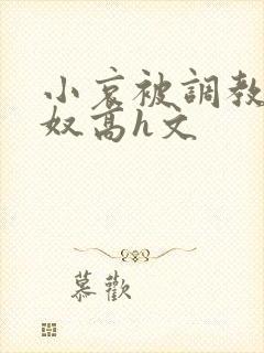 小哀被调教成肉奴高h文