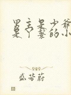 男主是少爷女主是丫鬟的小说封面