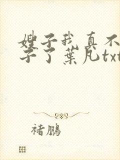 嫂子我真不是傻子了叶凡txt下载