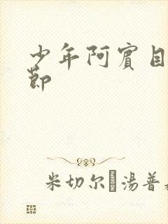 少年阿宾目录章节