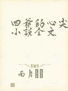 四爷的心尖宠妃小说全文封面