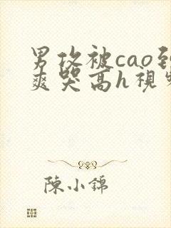 男攻被cao到爽哭高h视频