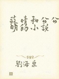 苏晴和公公苏大明的小说