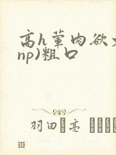 高h荤肉欲文(np)粗口