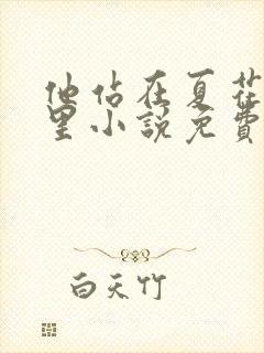 他站在夏花绚烂里小说免费下载封面