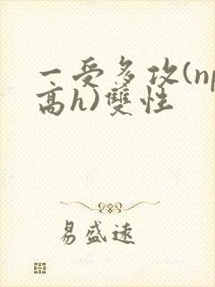 一受多攻(np高h)双性
