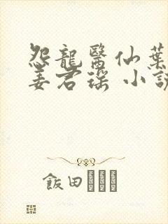 怨龙医仙叶楚,姜君瑶 小说封面