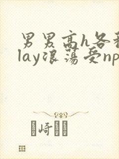 男男高h各种play浪荡受np