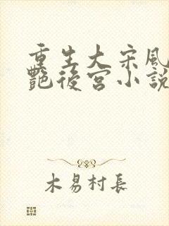 重生大宋风流猎艳后宫小说封面