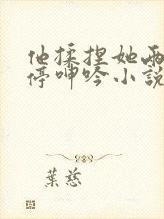 他揉捏她两乳不停呻吟小说