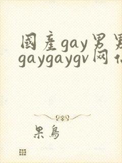 国产gay男男gaygaygv网站封面