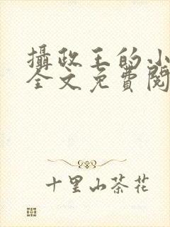 摄政王的小王妃全文免费阅读