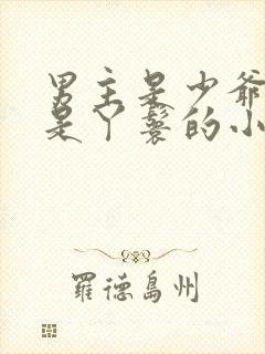 男主是少爷女主是丫鬟的小说封面