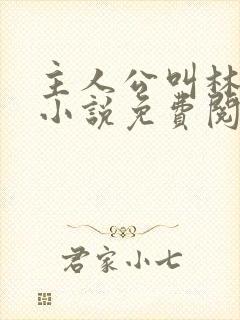 主人公叫林辰的小说免费阅读