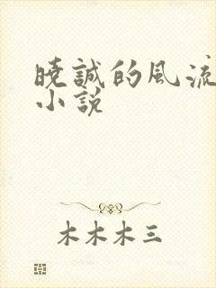 晓诚的风流人生小说封面