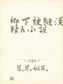 乡下被糙汉灌满精h小说封面