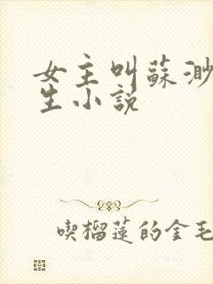 女主叫苏渺的重生小说