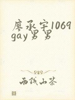 廖承宇1069gay男男