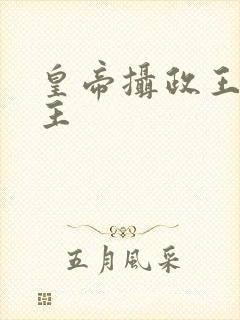 皇帝摄政王双男主