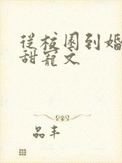 从校园到婚纱的甜宠文封面