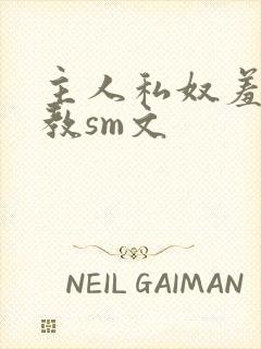 主人私奴羞辱调教sm文封面