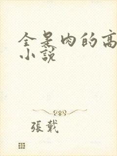 全是肉的高h文小说