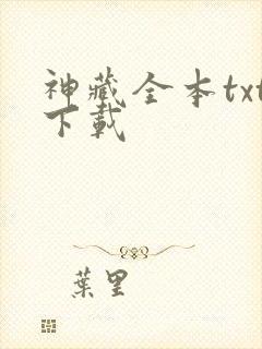 神藏全本txt下载