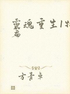 灵魂重生1特别篇