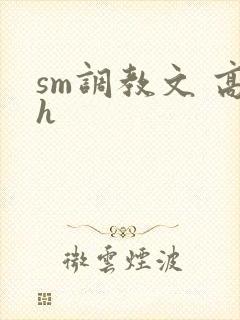 sm调教文 高h封面