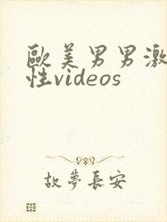 欧美男男激情同性videos