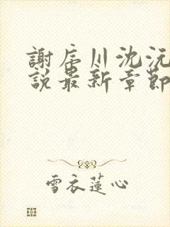 谢序川沈沅珠小说最新章节免费阅读