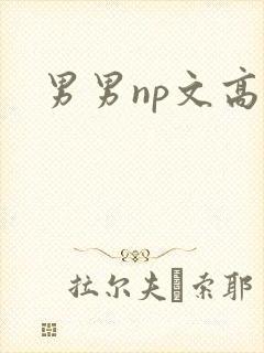 男男np文高h