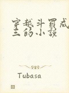 穿越斗罗成为唐三的小说