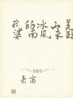 我的冰山美女老婆 南风未临