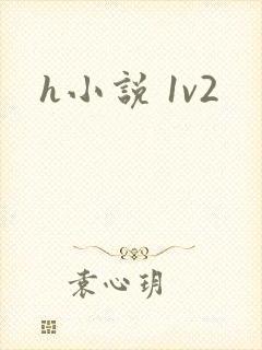 h小说 1v2