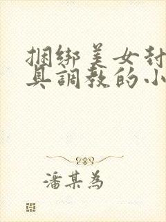 捆绑美女封嘴道具调教的小说