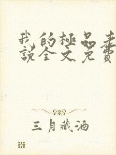 我的极品老婆小说全文免费阅读封面