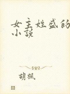 女主姓盛的现代小说