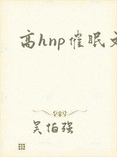 高hnp催眠文