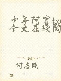 少年阿宾txt全文在线阅读