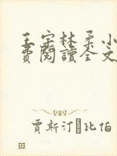 王宇林柔小说免费阅读全文最新章节