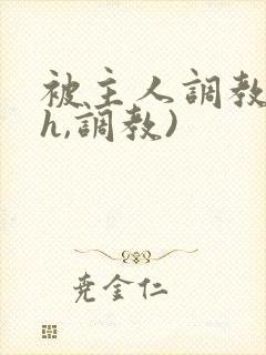 被主人调教(高h,调教)