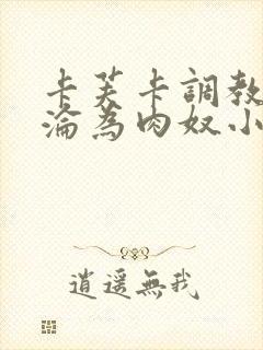 卡芙卡调教喷水沦为肉奴小说封面